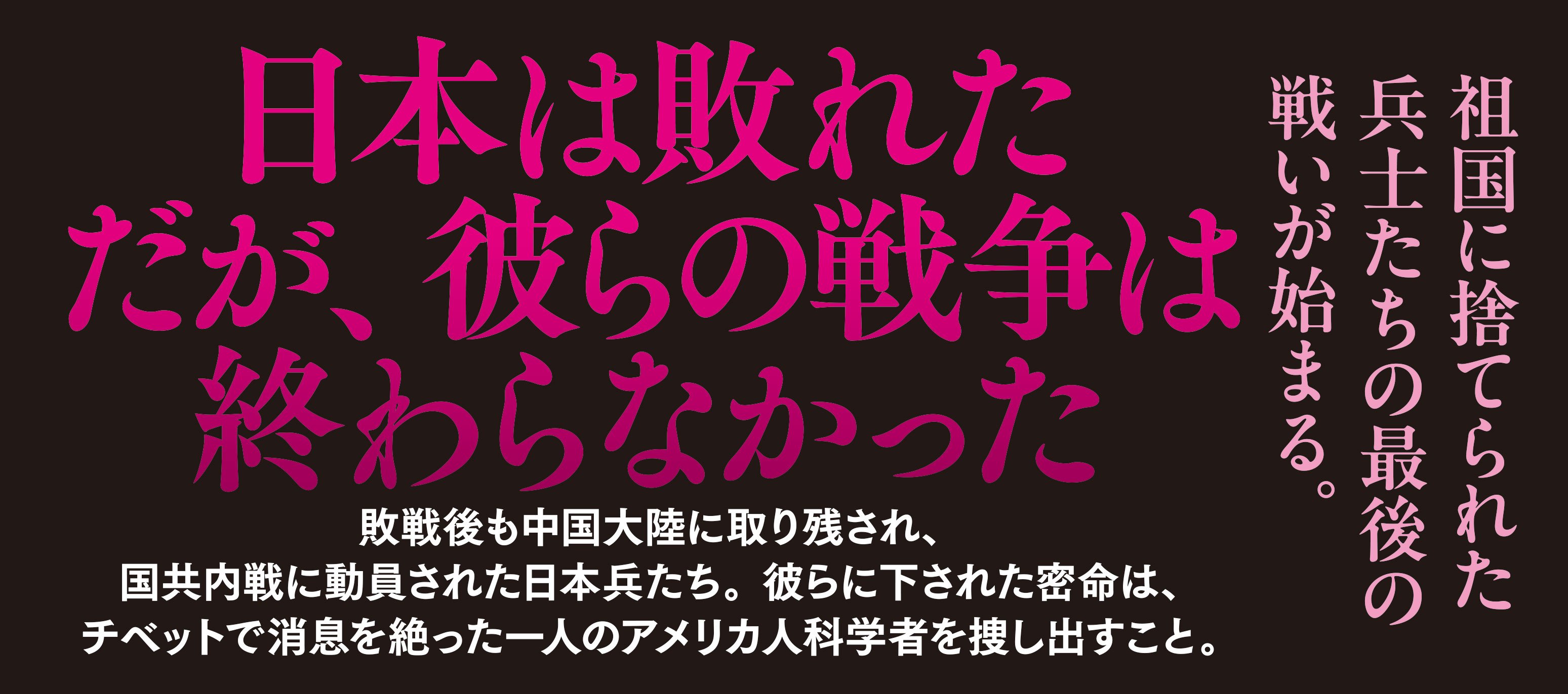 炎陽を撃て