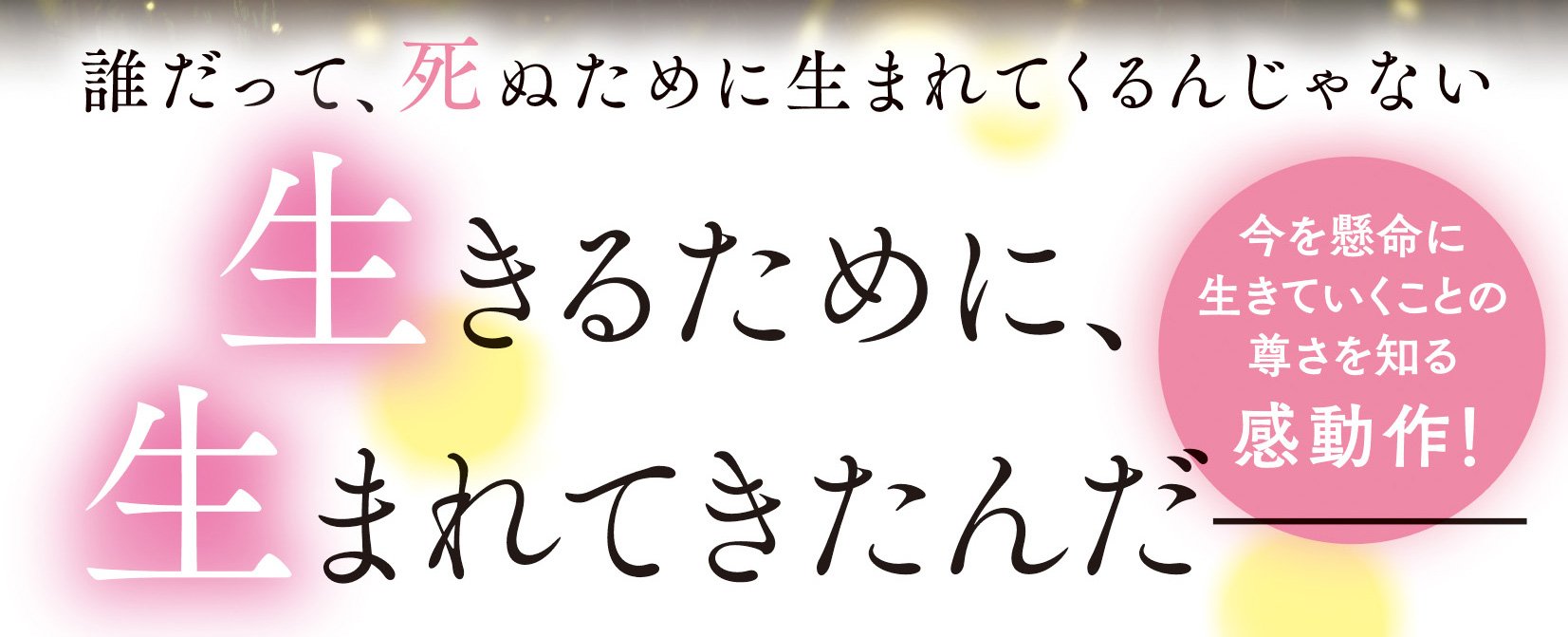 やがて飛び立つその日には