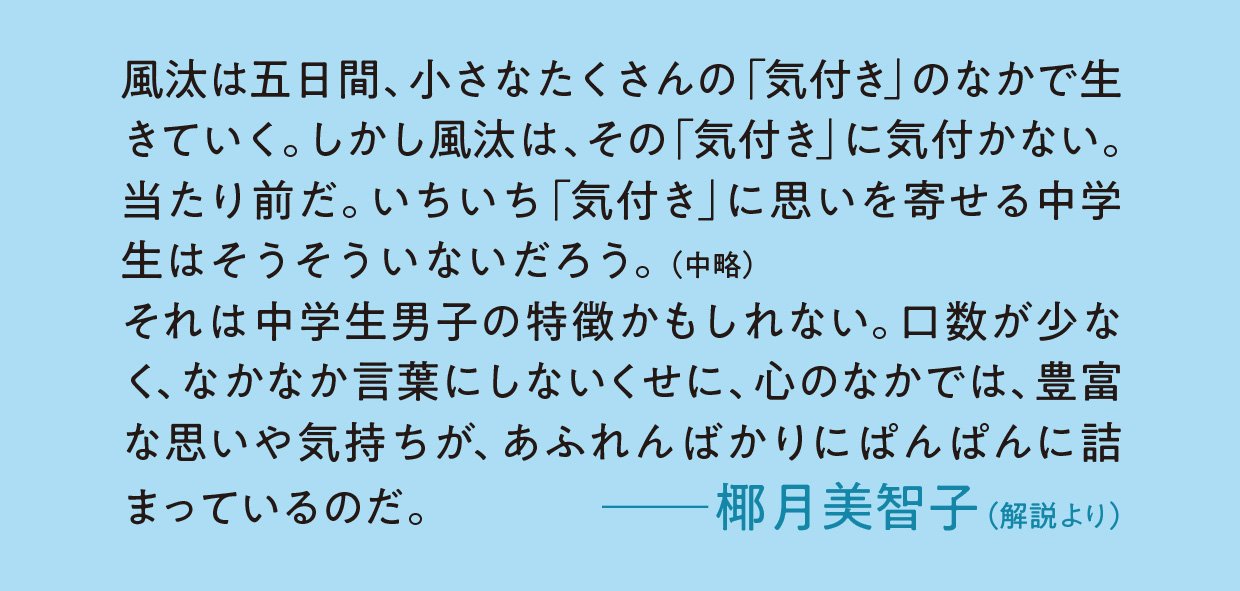 天使のにもつ
