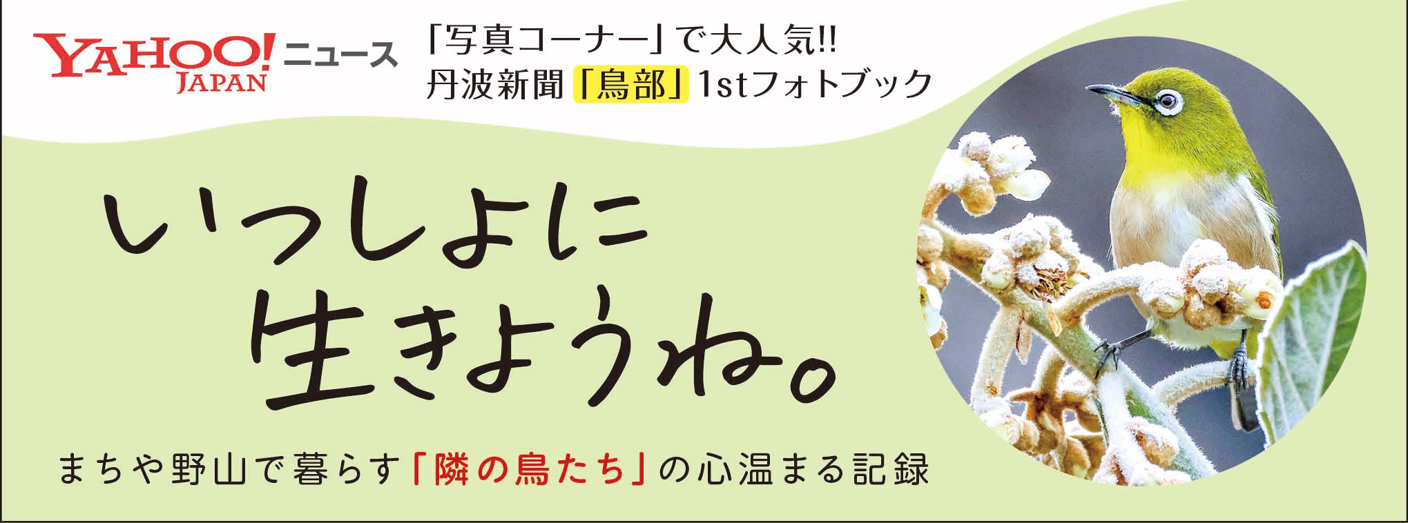 いつも、いつまでも。 丹波新聞「鳥部」フォトブック