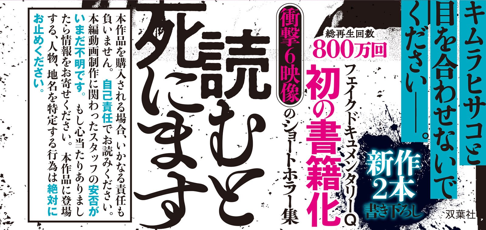 フェイクドキュメンタリーQ