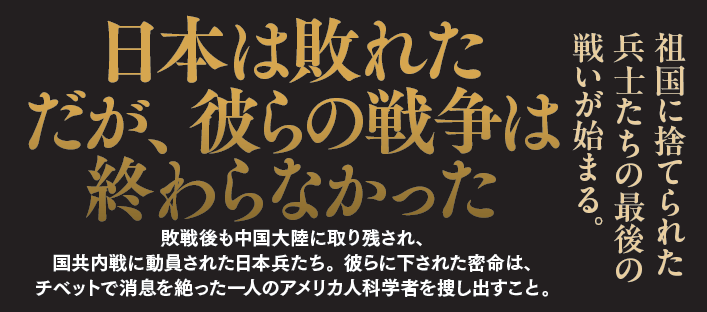 炎陽を撃て