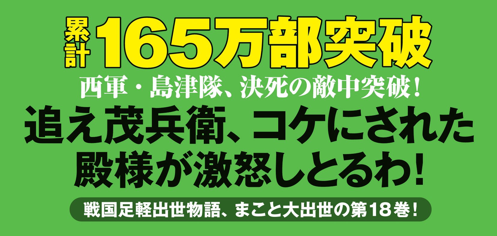 三河雑兵心得 18 退き口仁義