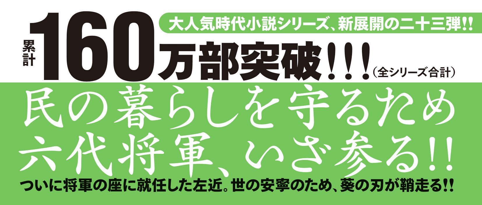 新・浪人若さま 新見左近 【二十三】 天領の鼠