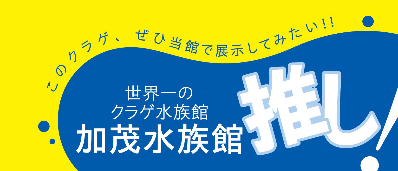 夜光クラゲが灯した暗号
