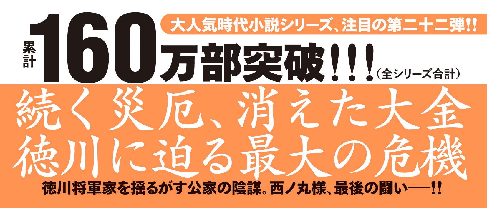 新・浪人若さま 新見左近 【二十二】 揺らぐ天下