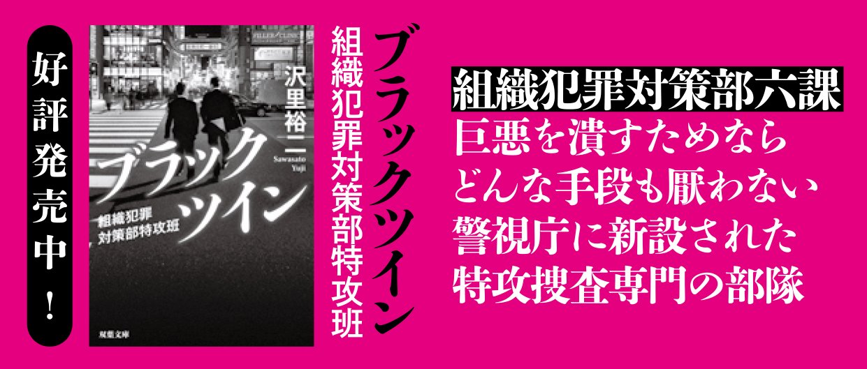 ブラックツイン 2 謀略の旋律